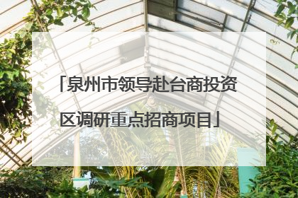 泉州市领导赴台商投资区调研重点招商项目